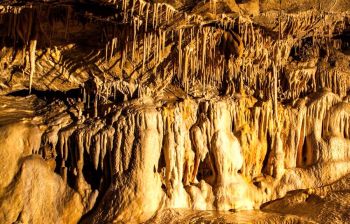 Góry Świętokrzyskie - Jaskinia Raj - Centrum Nauki Leonardo Da Vinci